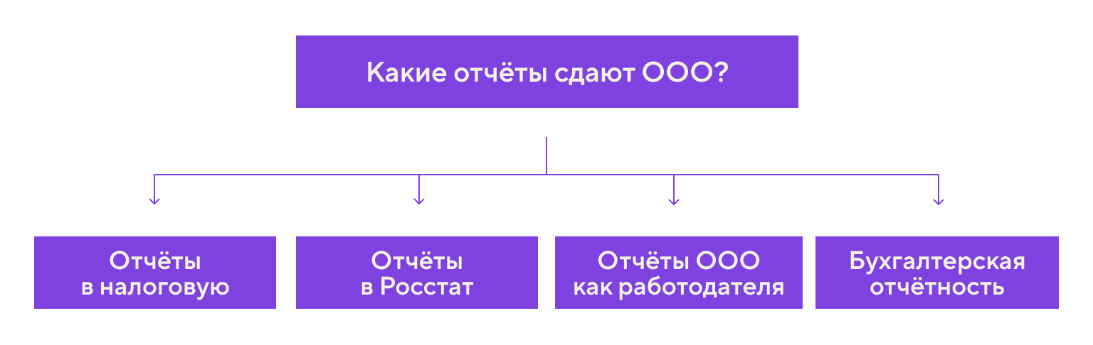 Какие отчёты сдают ООО