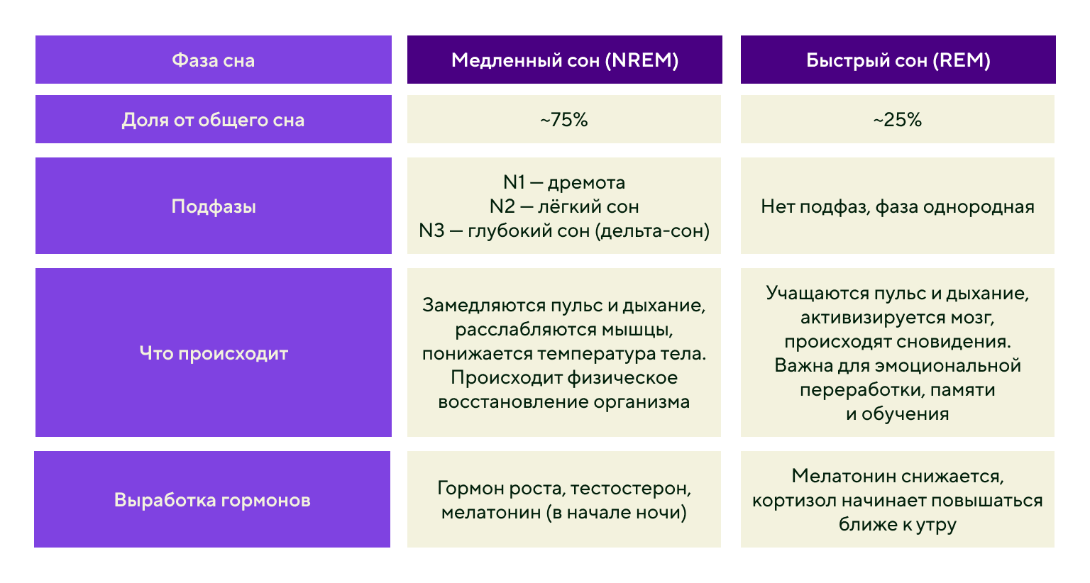 Фазы сна