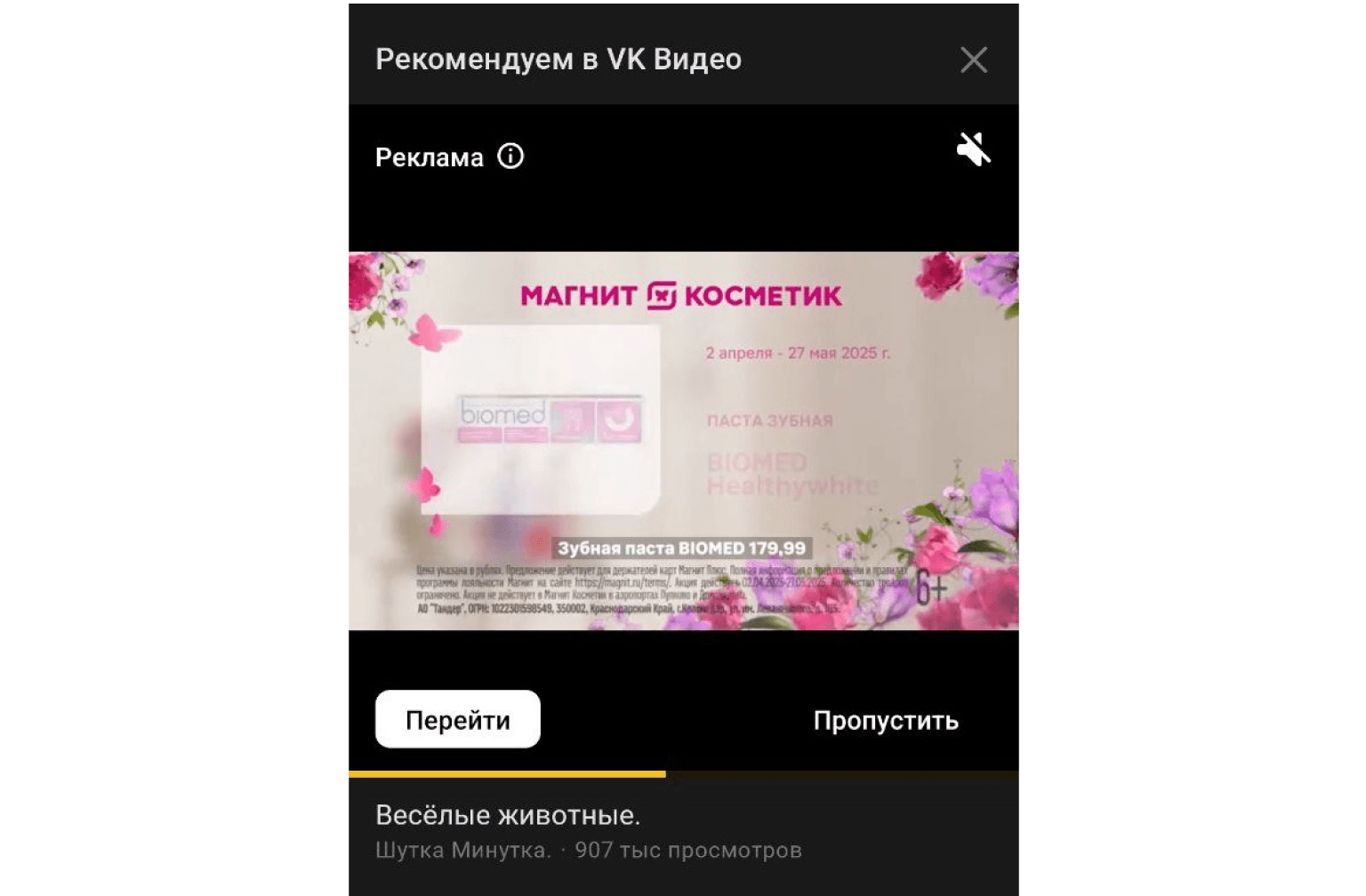Пример рекламы в VK Видео