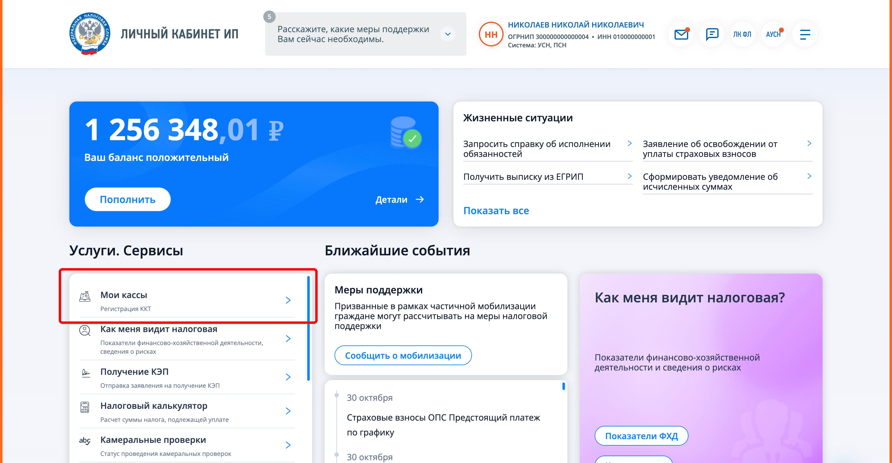 Кнопка «Мои кассы» в личном кабинете ИП