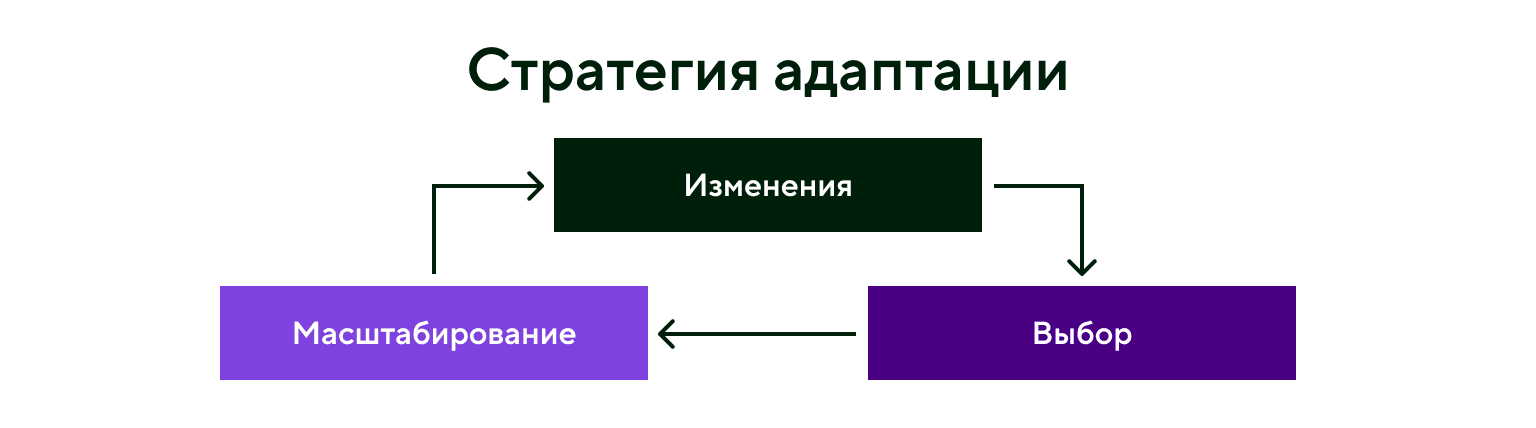 Стратегия адаптации