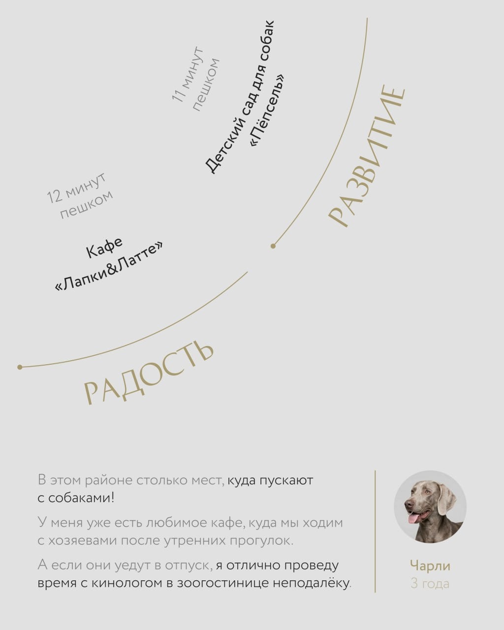 Реклама девелопера через сценарий для жизни. Часть 4